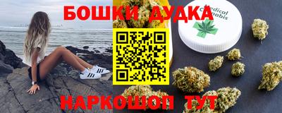 прущие крисы Новозыбков