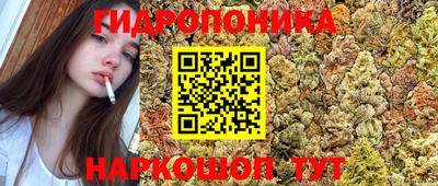 прущие крисы Новозыбков