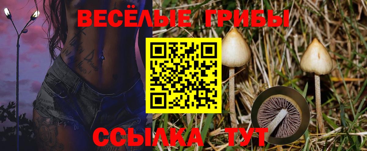Галлюциногенные грибы Magic Shrooms  Вход с VPN  Феодосия  Галлюциногенные грибы прущие грибы 